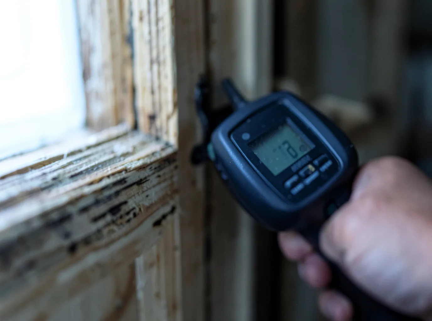 Ceiling Water Damage Repair in New Haven, MI